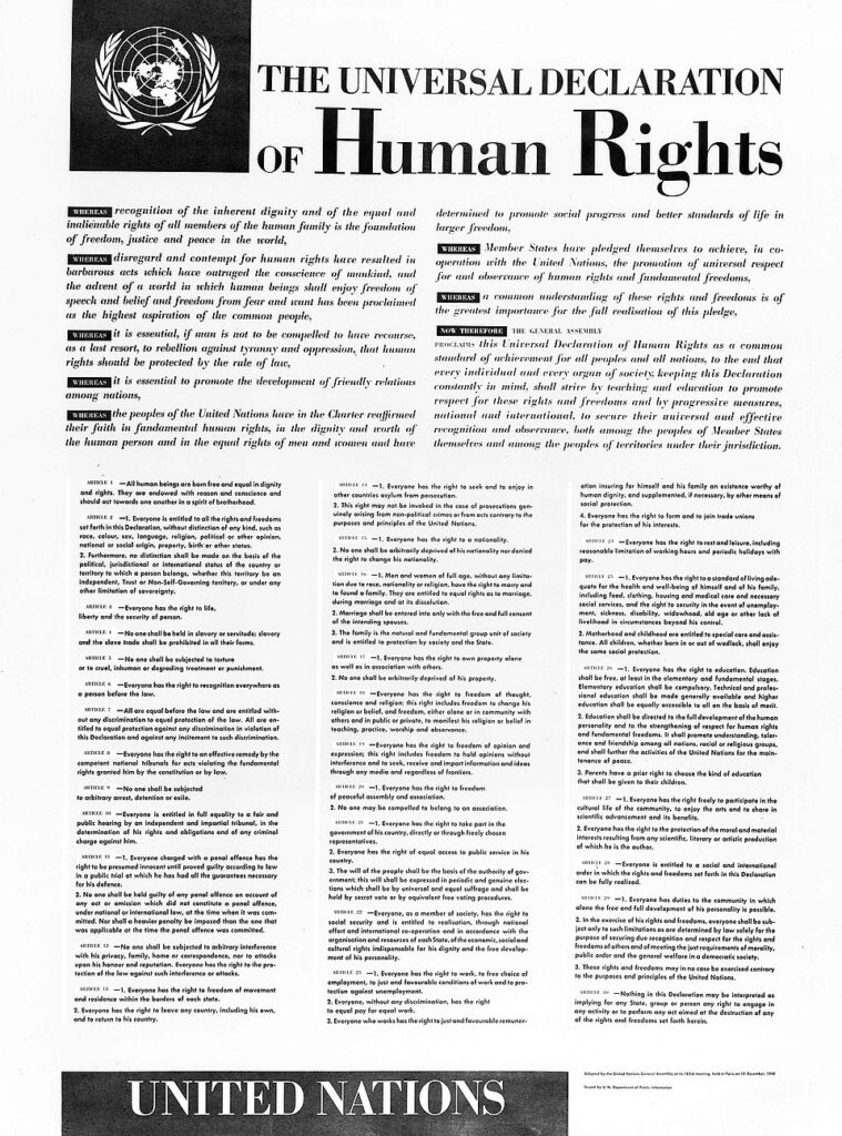 The Universal Declaration of Human Rights